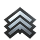 Next rank: = Sergeant = after 16 points Next rank: = Sergeant = after 16 points
