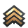 Next rank: - Master Sergeant - after 60 points